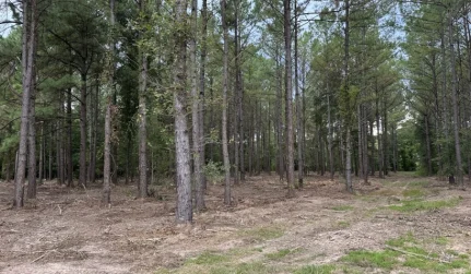 Food Plot Preparation monroe la