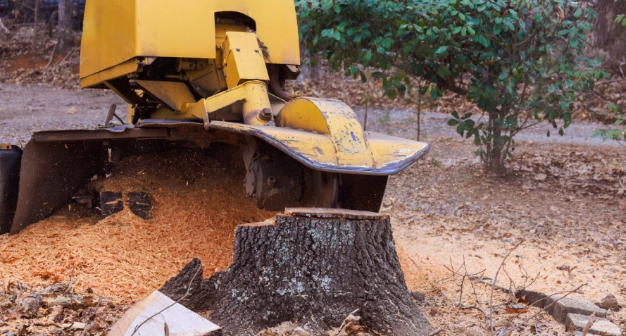 Stump Grinding monroe la