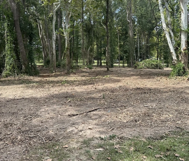 land clearing brush hogging services near monroe la lad clearing brush hogging services near monroe la home 2