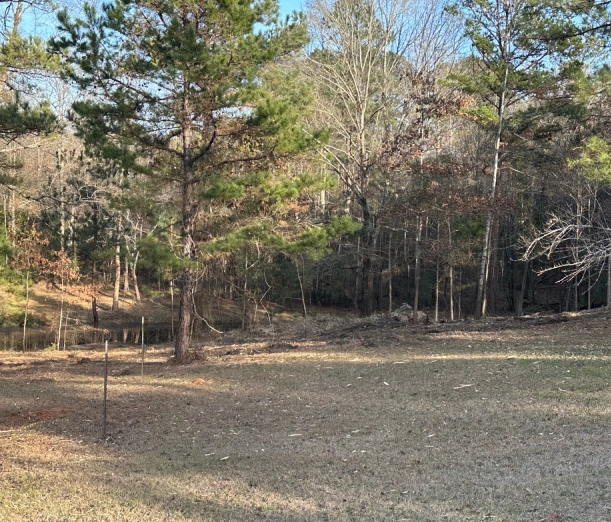 land clearing brush hogging services near monroe la lad clearing brush hogging services near monroe la home 3